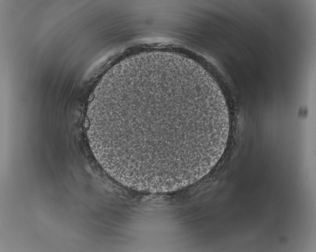 X0000110940967200907311012
