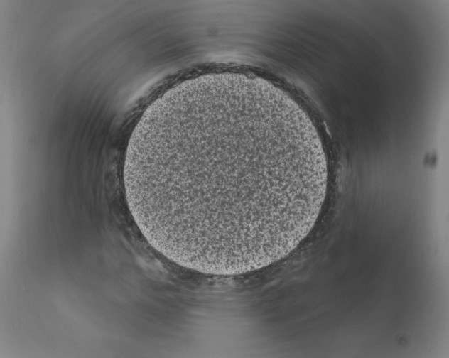 X0000110940968200907311012