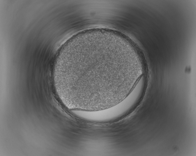 X0000110940969200907311012