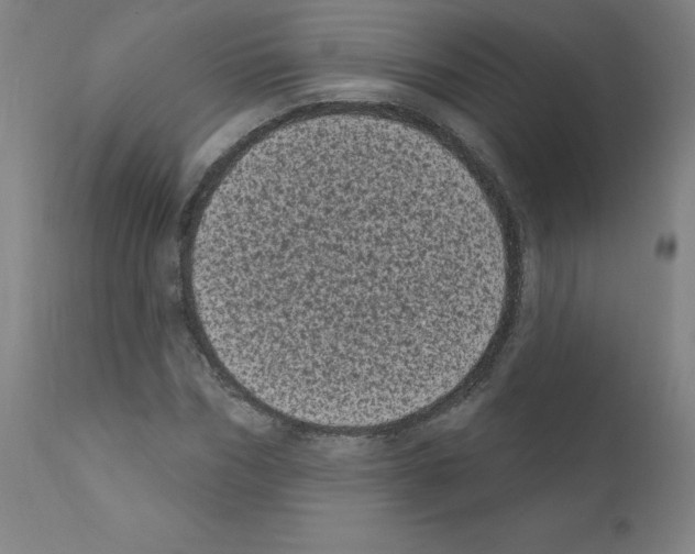 X0000110940970200907311012