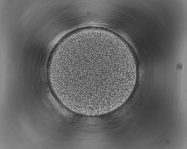X0000110940972200907311012