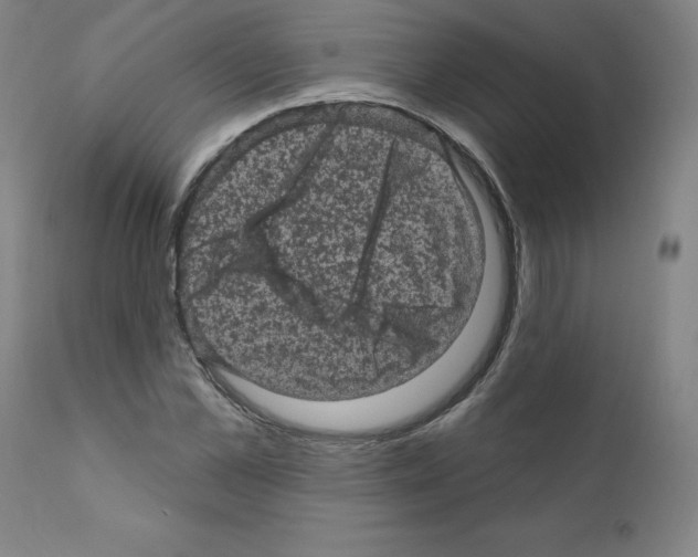 X0000110940973200907311012