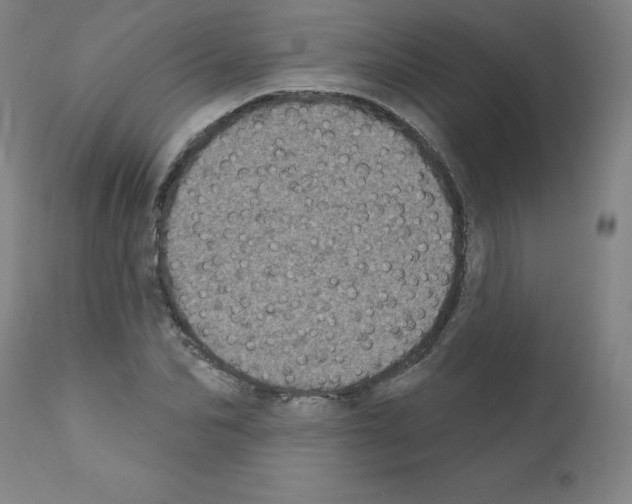 X0000110940974200907311012