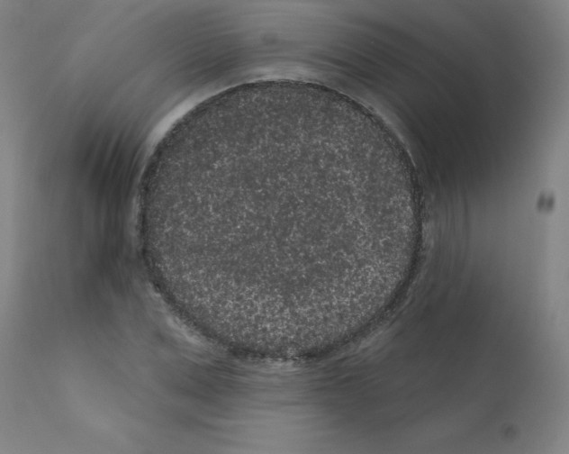 X0000110940975200907311012