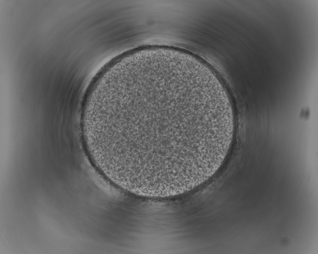 X0000110940976200907311012