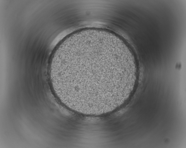 X0000110940978200907311012