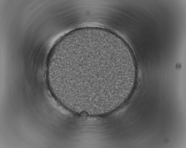 X0000110940979200907311012