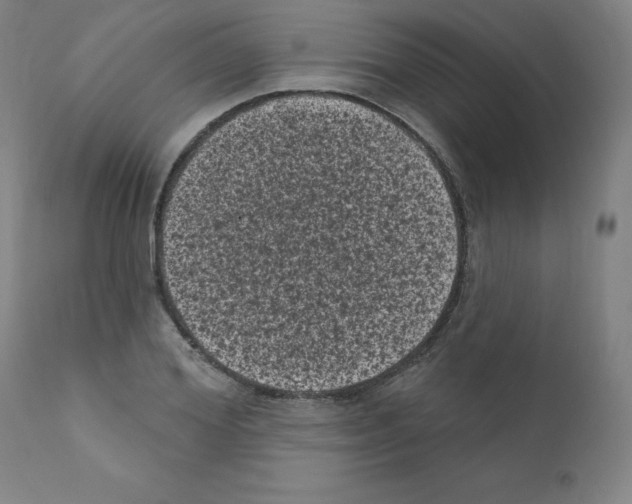 X0000110940980200907311012