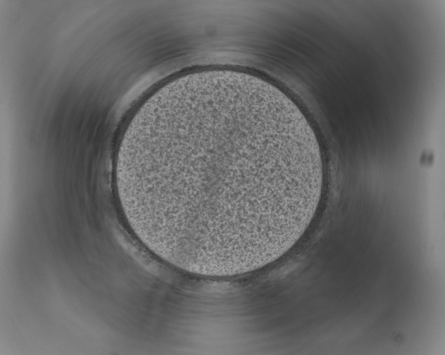 X0000110940982200907311012