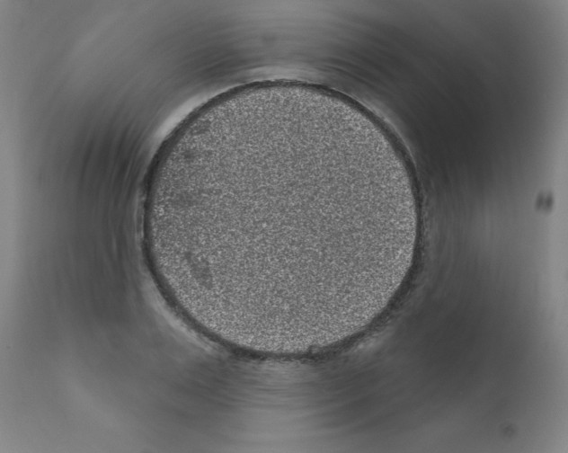 X0000110940983200907311012