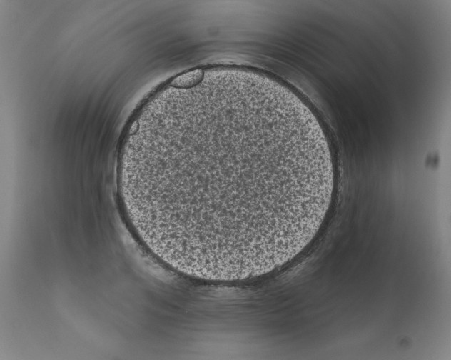 X0000110940984200907311012