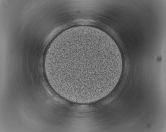 X0000110940986200907311012