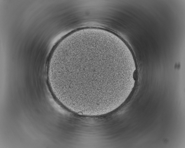 X0000110940987200907311012