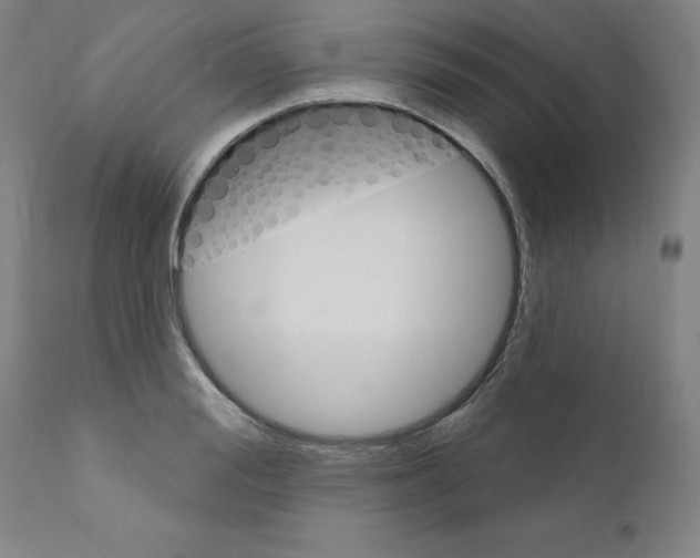 X0000110940988200907311012