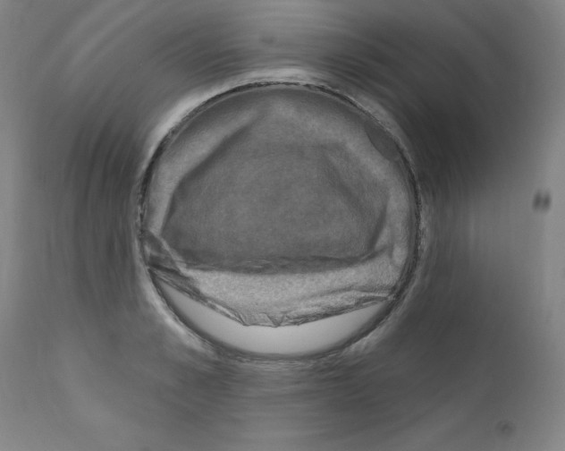 X0000110940989200907311012