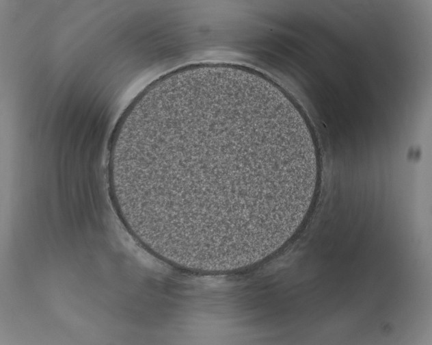 X0000110940990200907311012