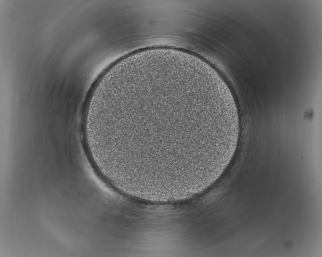 X0000110940991200907311012
