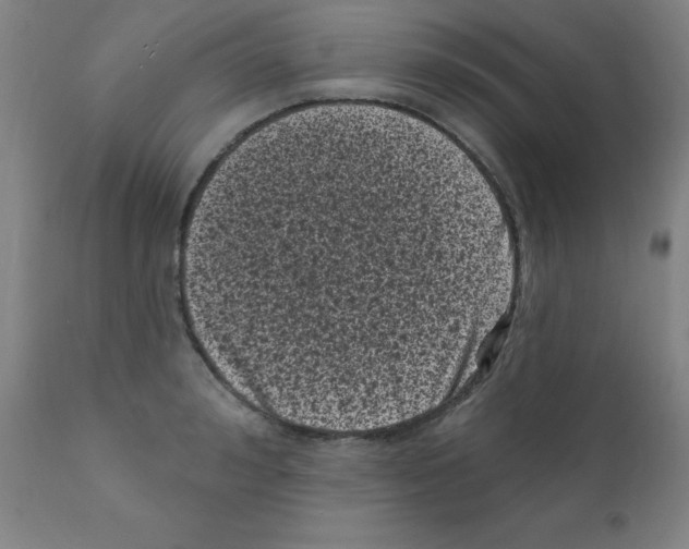 X0000110940992200907311012
