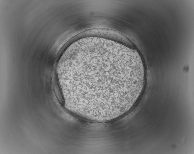 X0000110940993200907311012