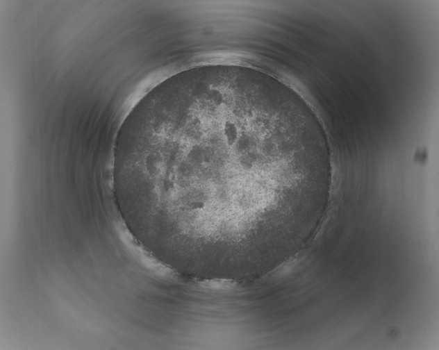 X0000110940994200907311012