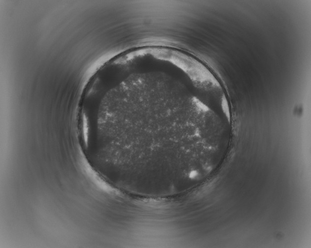 X0000110940995200907311012