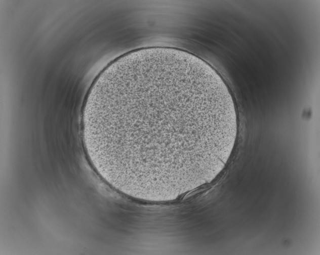 X0000110940996200907311012
