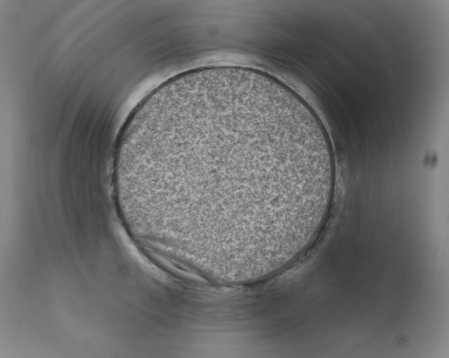 X0000110940997200907311012
