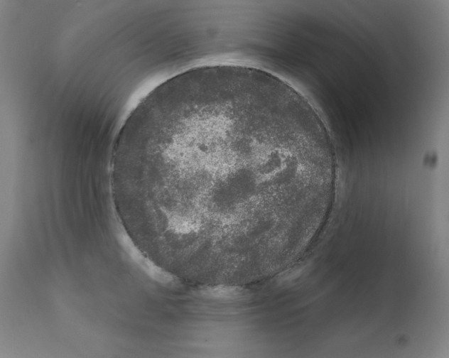 X0000110940998200907311012