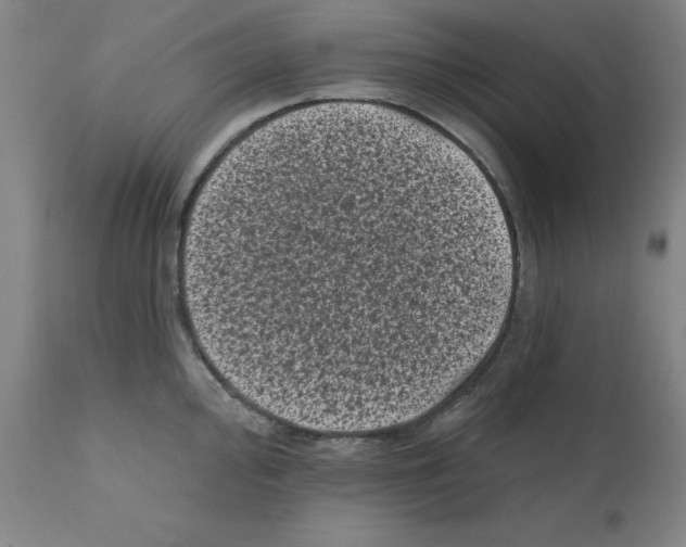 X0000110941000200907311012