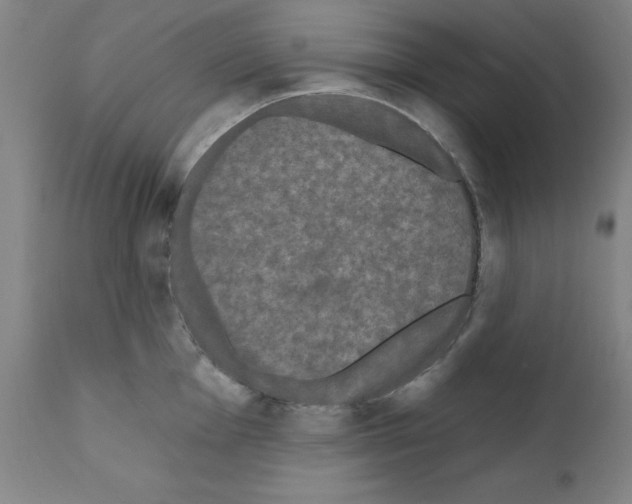 X0000110941001200907311012