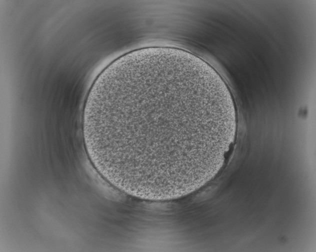 X0000110941004200907311012