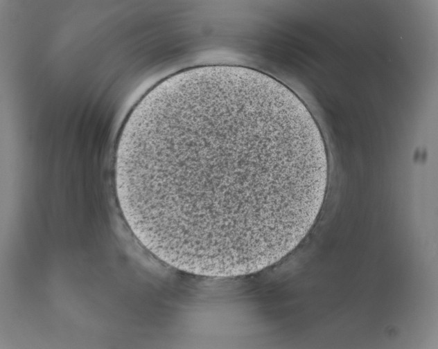 X0000110941008200907311012