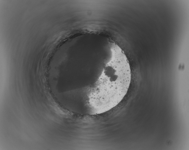 X0000110941009200907311011