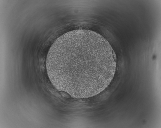 X0000110941010200907311011