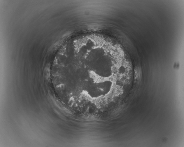 X0000110941011200907311011