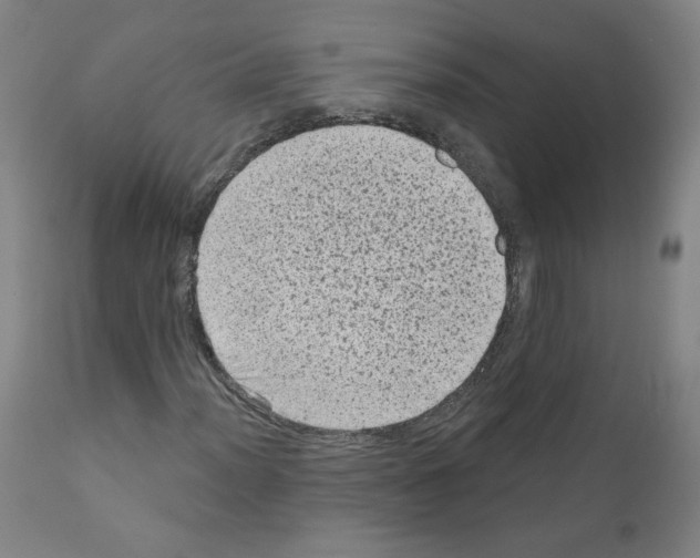 X0000110941012200907311011