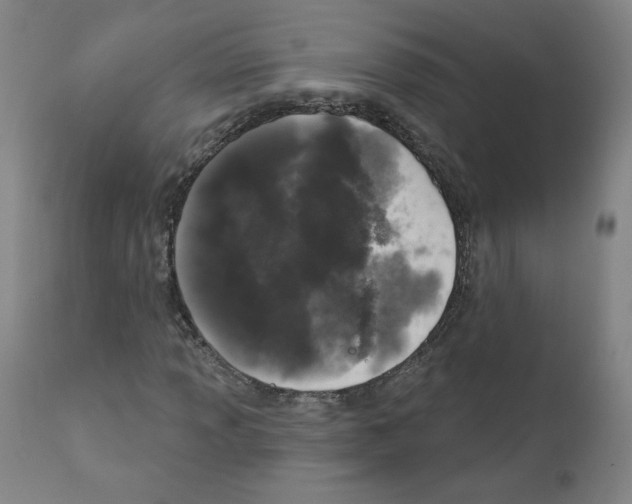 X0000110941013200907311011