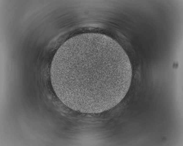 X0000110941014200907311011