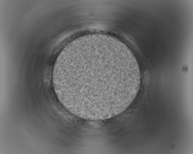 X0000110941015200907311011