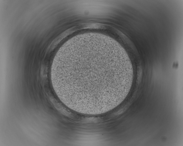 X0000110941017200907311011