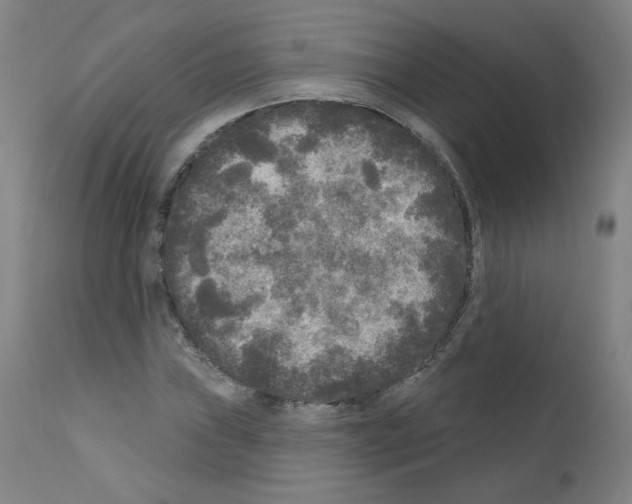 X0000110941019200907311011
