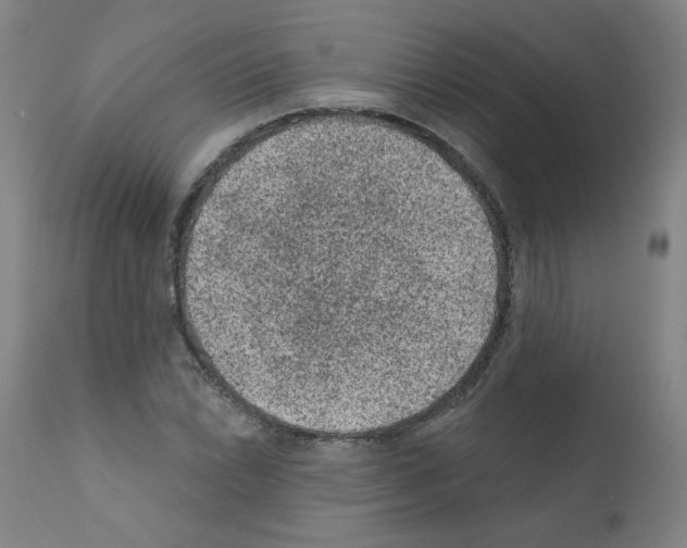 X0000110941022200907311011