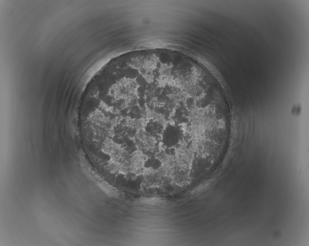 X0000110941023200907311011