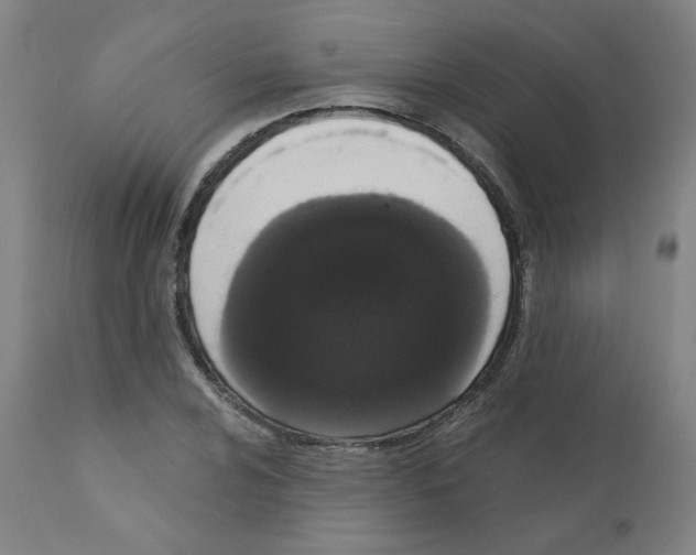 X0000110941024200907311011