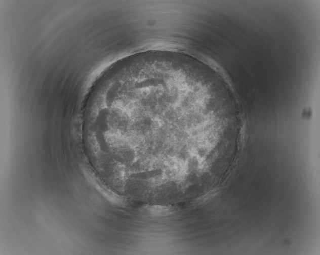 X0000110941027200907311011