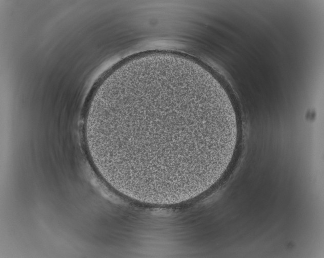 X0000110941029200907311011