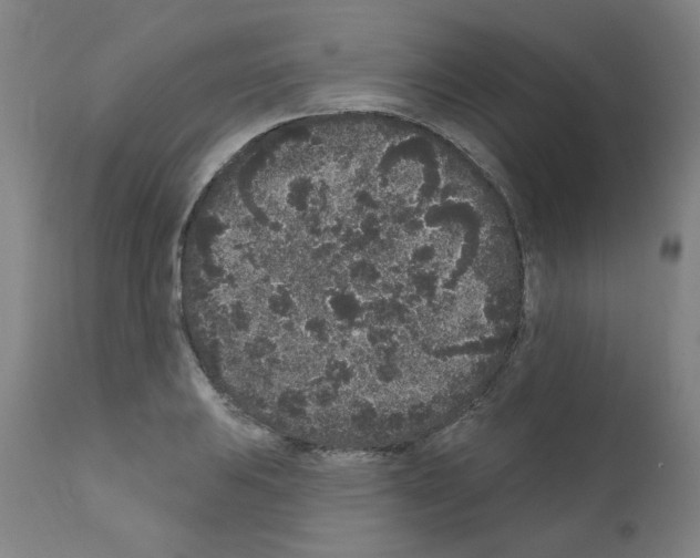 X0000110941031200907311011