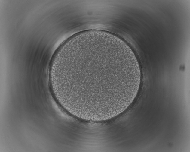 X0000110941032200907311011