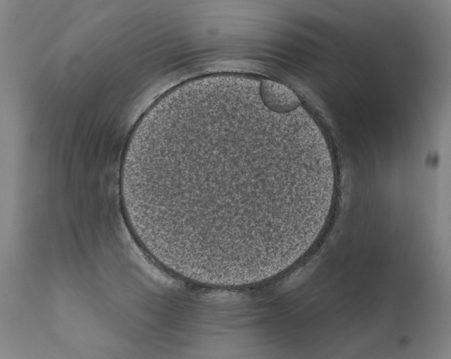 X0000110941033200907311011