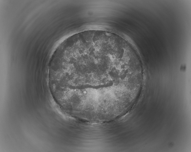 X0000110941035200907311011